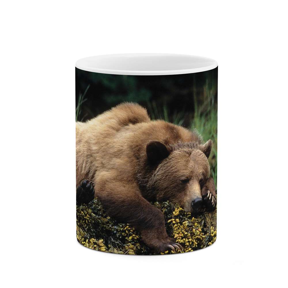 ماگ طرح خرس  مدل mgp14105