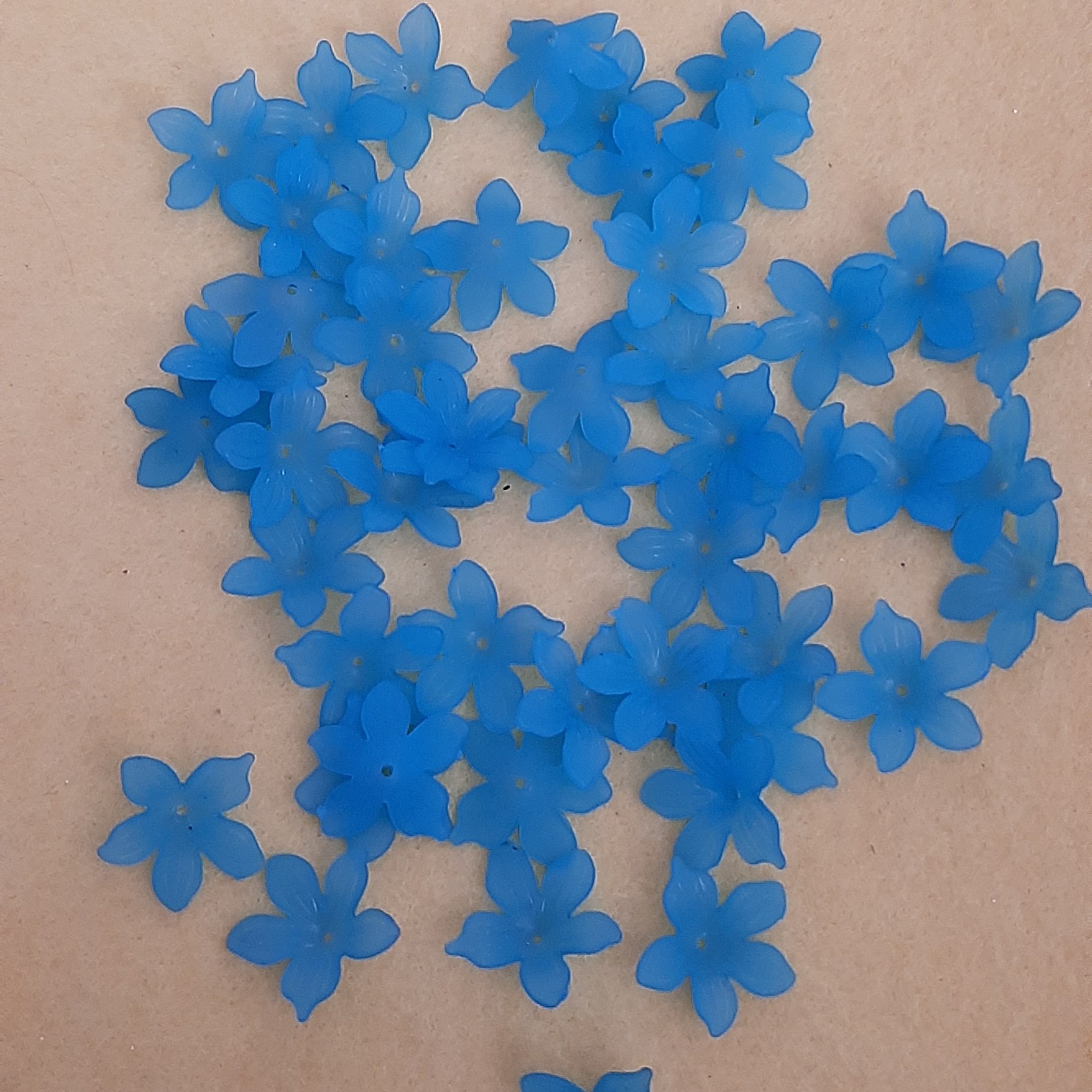 گل کریستال . شکوفه های کوچک . آبی . در بسته های 50 عددی . رنگ زرد و نارنجی و صورتی و آبی موجود است 