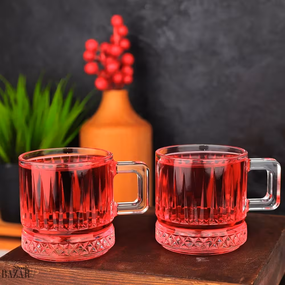 ماگ دسته دار الیزیا پاشاباغچه کد 55422