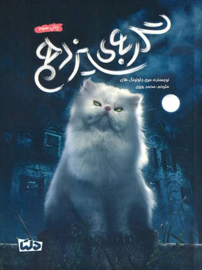 گربه ی سیزدهم