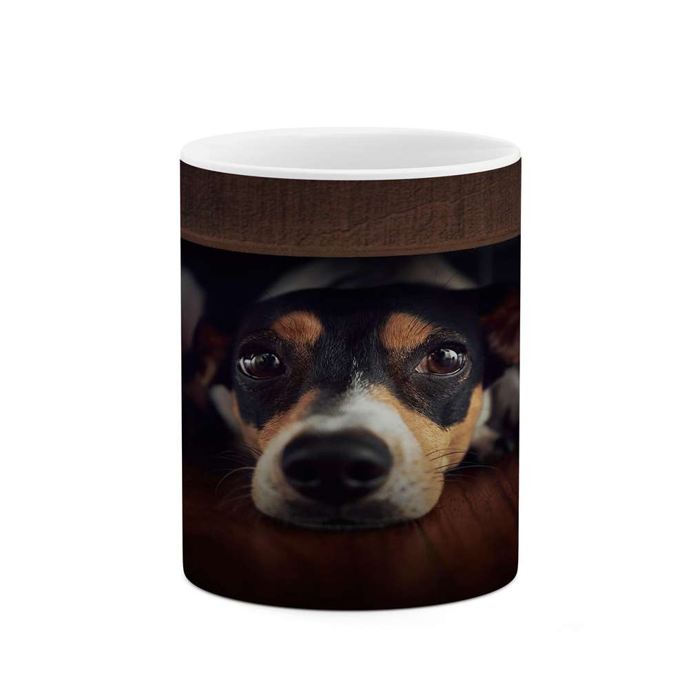 ماگ کاکتی طرح سگ مدل mgs16607