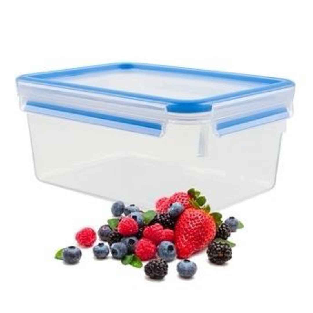 ظرف نگهدارنده 3.7L تفال مدل مسترسیل