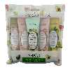 کرم مرطوب کننده سادور مدل FLOWER &amp; FRUIT وزن 30 گرم بسته 5 عددی