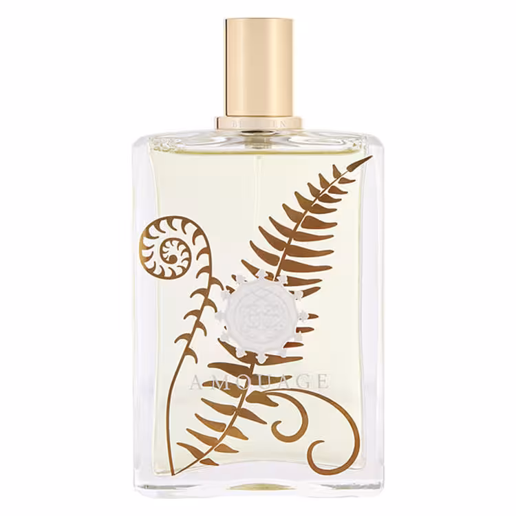 تستر ادو پرفیوم مردانه اماراتی Amouage Bracken حجم 100 میلی لیتر