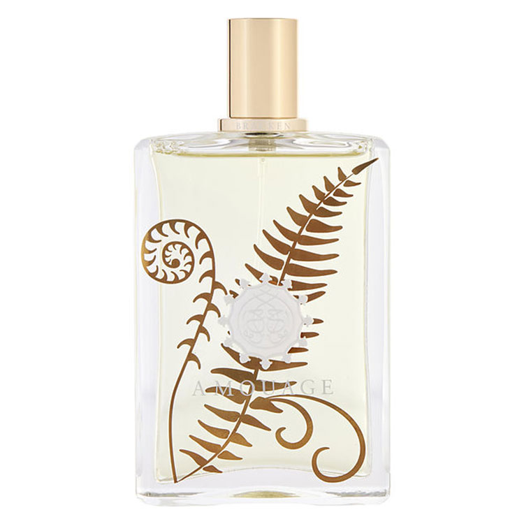 تستر ادو پرفیوم مردانه اماراتی Amouage Bracken حجم 100 میلی لیتر