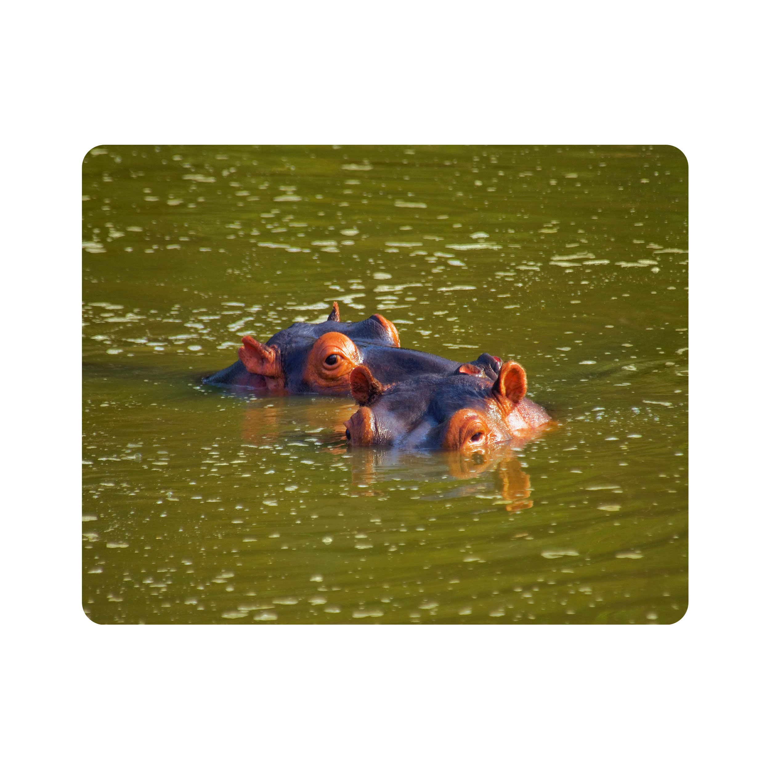 ماوس پد اطلس آبی طرح دریاچه و اسب آبی مدل T1970