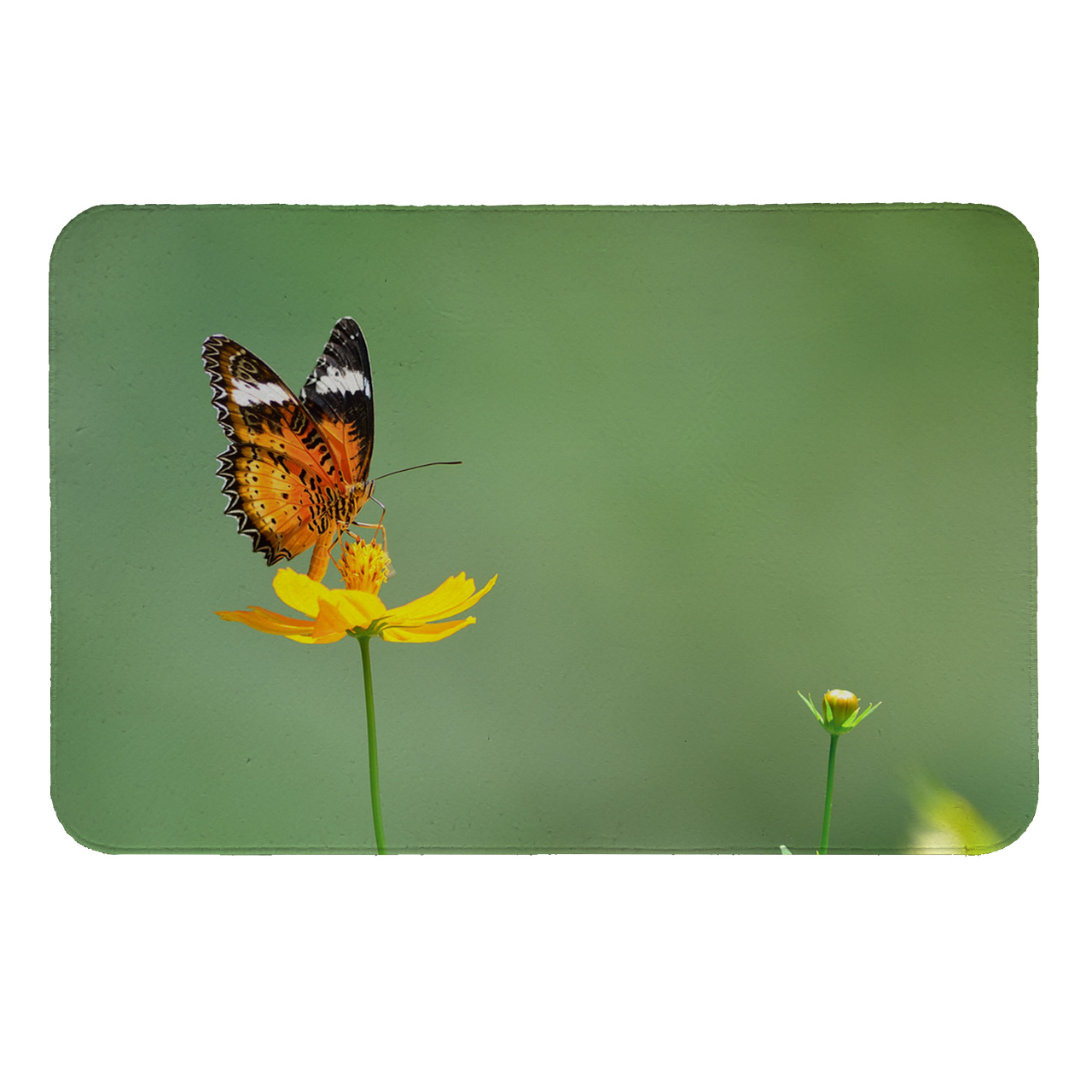 رطوبت گیر کنار سینک کد 6213