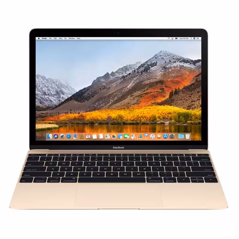 لپ تاپ 12 اینچ اپل مدل MacBook MNYL2 2017