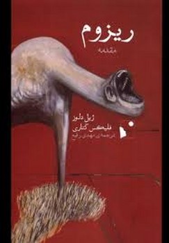 ریزوم | مرکز فرهنگی آبی