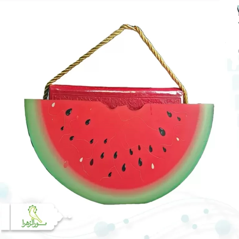 10 عدد حافظ پالتویی با ساک هندوانه