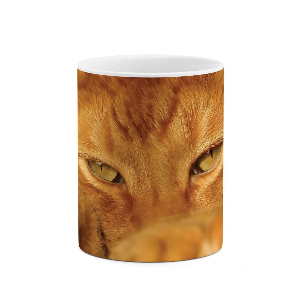 ماگ طرح گربه مدل mgs07168