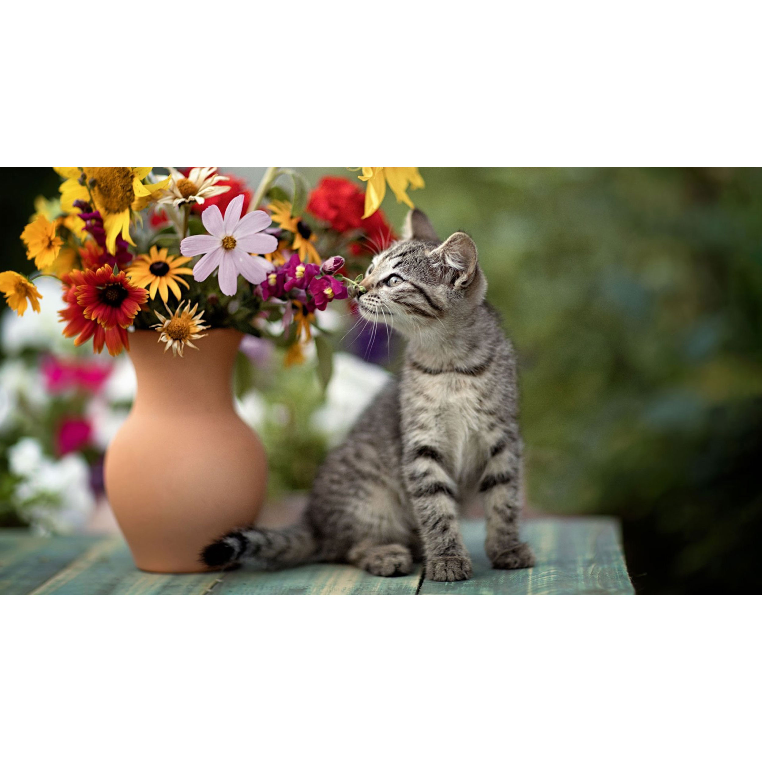 تابلو شاسی طرح گربه و گل و گلدان مدل T8005