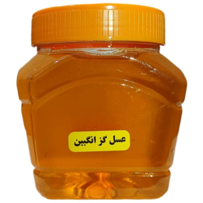 عسل گزانگبین درجه یک (یک کیلویی)