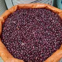 لوبیا قرمز درجه یک