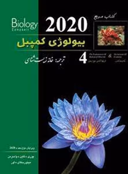 زیر ذره بین کمپبل 4 2020 - کتاب‌فروشی کوچه کتاب