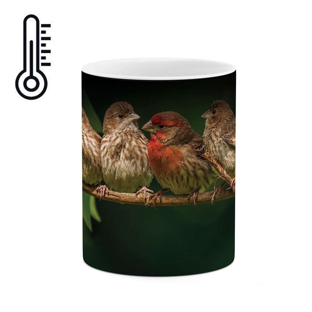 ماگ حرارتی طرح پرندگان مدل mgh03769