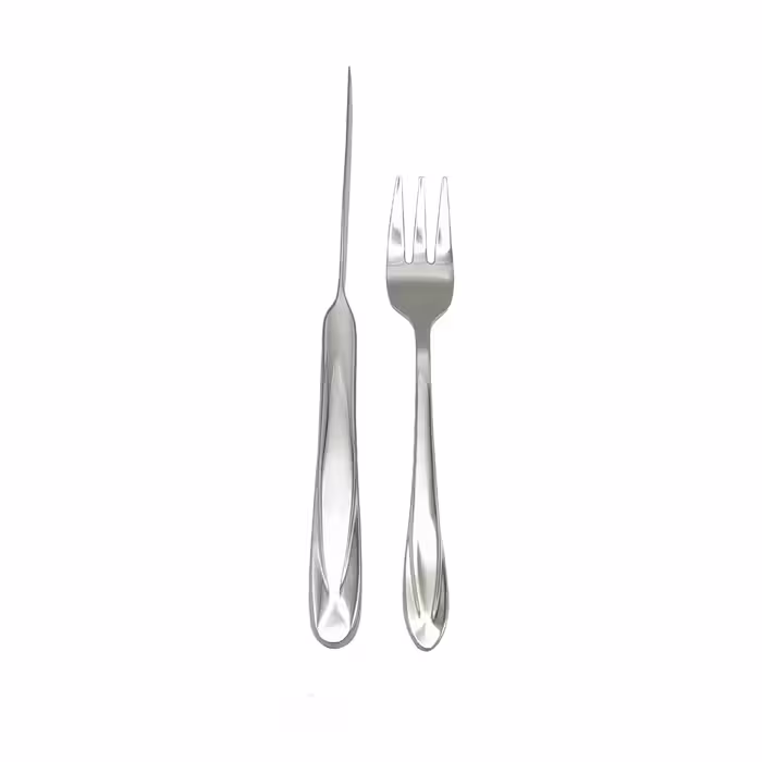 سرویس کارد و چنگال میوه خوری 12 پارچه ای تی سی کد A965