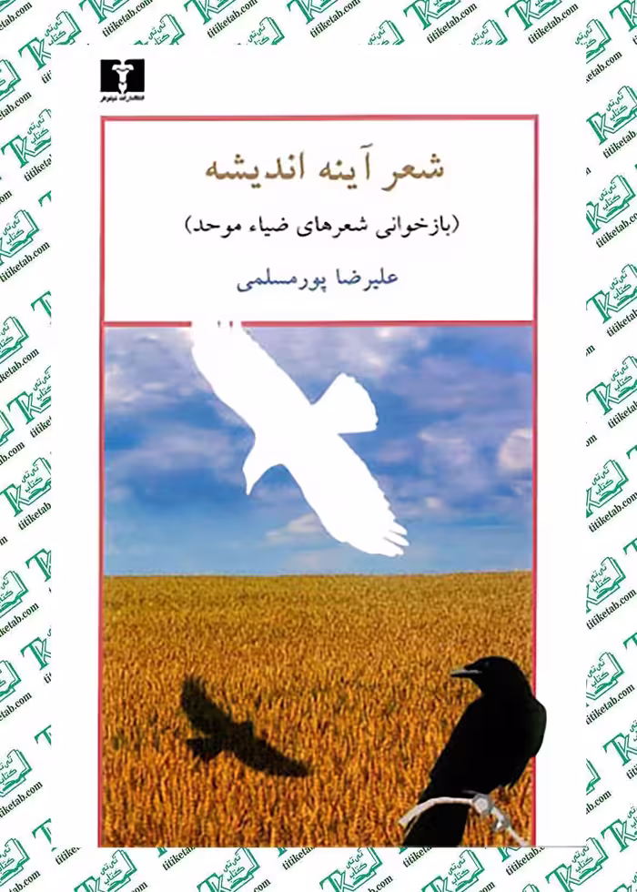 شعر آینه اندیشه علیرضا پورمسلمی نشر نیلوفر