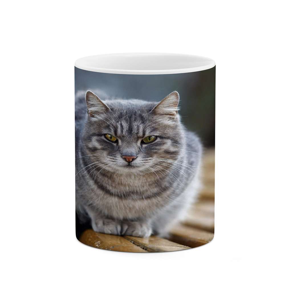 ماگ کاکتی طرح گربه مدل mgs14121