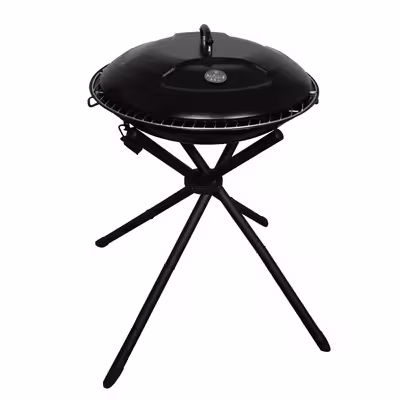 باربیکیو پارمیس مدل BBQ 412