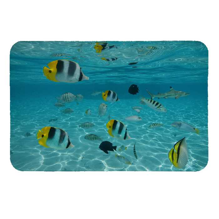 زیرقابلمه ای طرح ماهی کد 6147