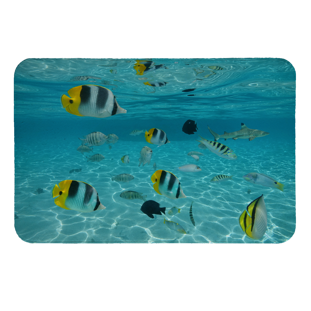 زیرقابلمه ای طرح ماهی کد 6147