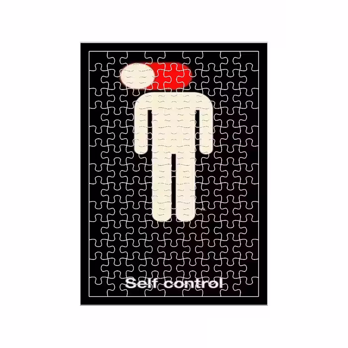 پازل 117 تکه مدل Self Control کد 924