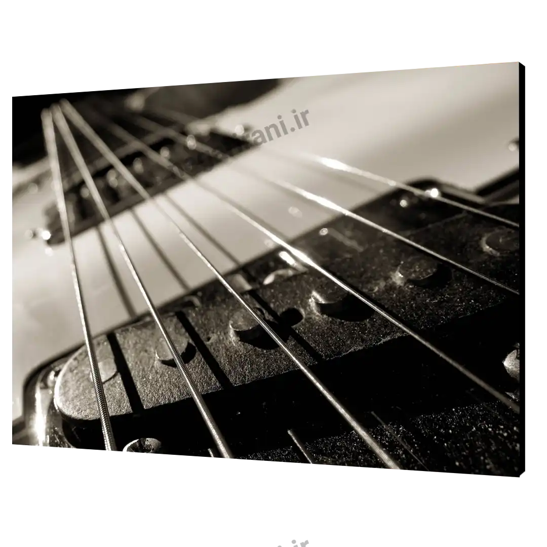 تابلو شاسی گیتار مدل AC 2