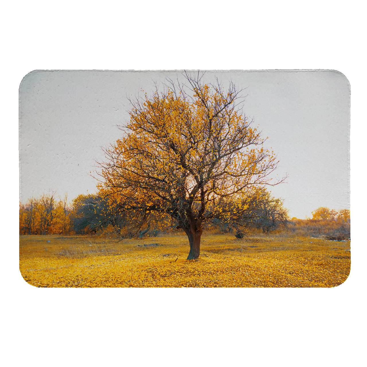 رطوبت گیر کنار سینک کد 5478