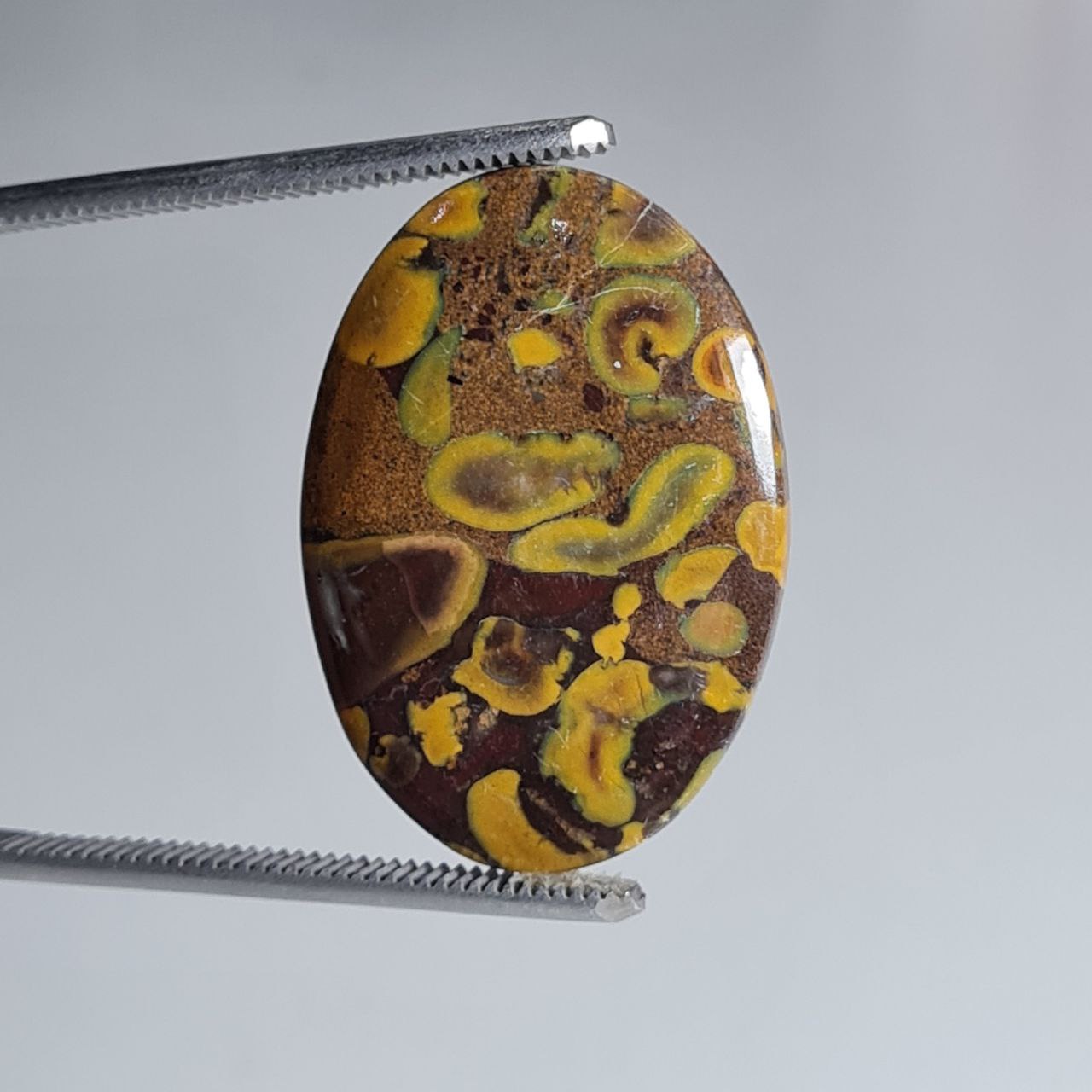 سنگ فروت جاسپر بیضی شکل 6042