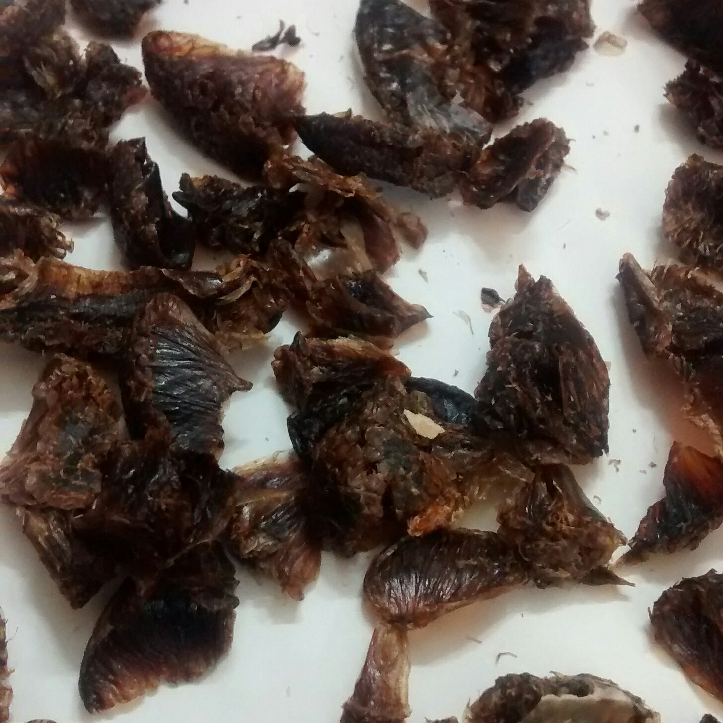 پرک لیمو عمانی ارگانیک 50 گرمی