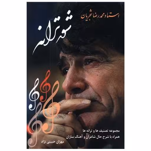 کتاب شور ترانه اثر مهران حبیبی نژاد