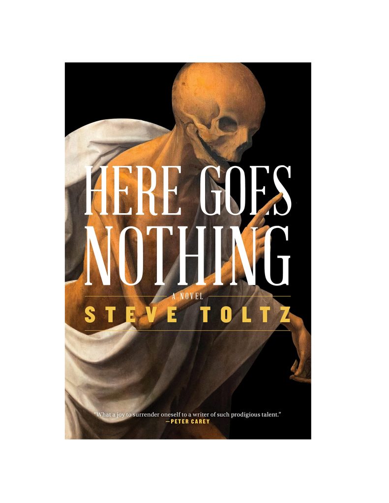 کتاب زبان انگلیسی Here Goes Nothing اثر Steve Tolts