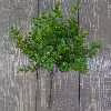 گل مصنوعی بخشی مدل SHBT.S