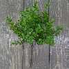 گل مصنوعی بخشی مدل SHBT.S