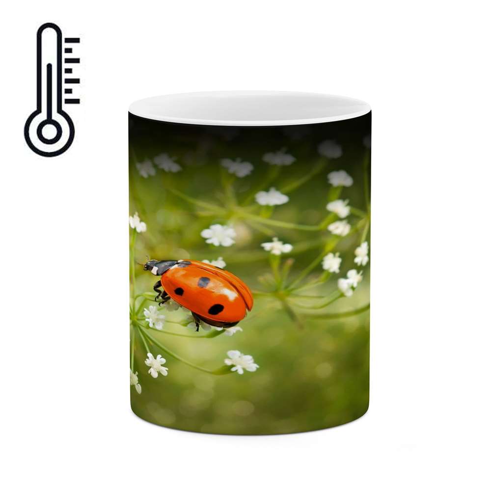 ماگ حرارتی کاکتی طرح کفشدوزک مدل mgh14461