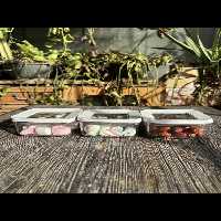 ست سه تایی بانکه اکرولیک سایز5