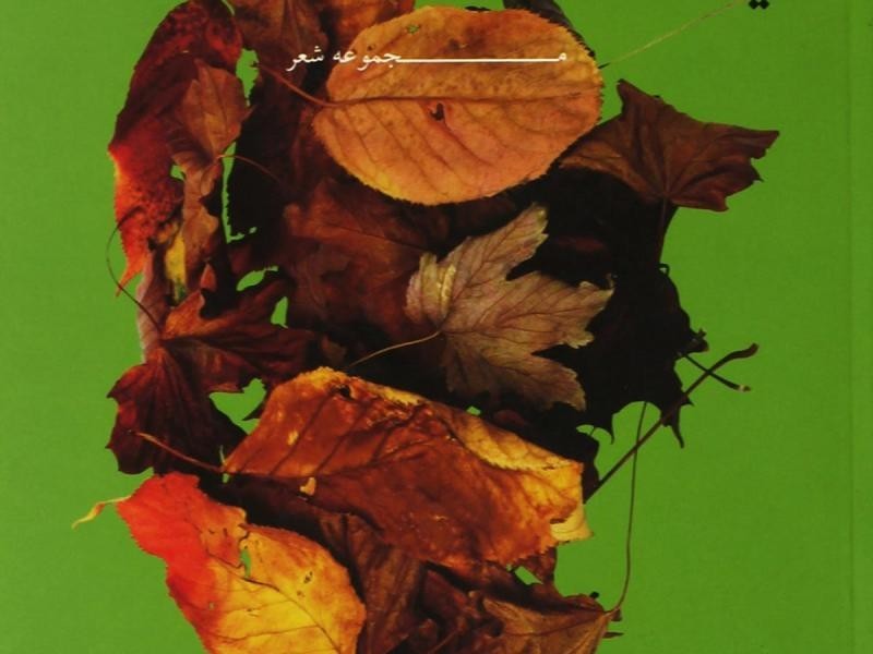 دوئتی برای یک صدا