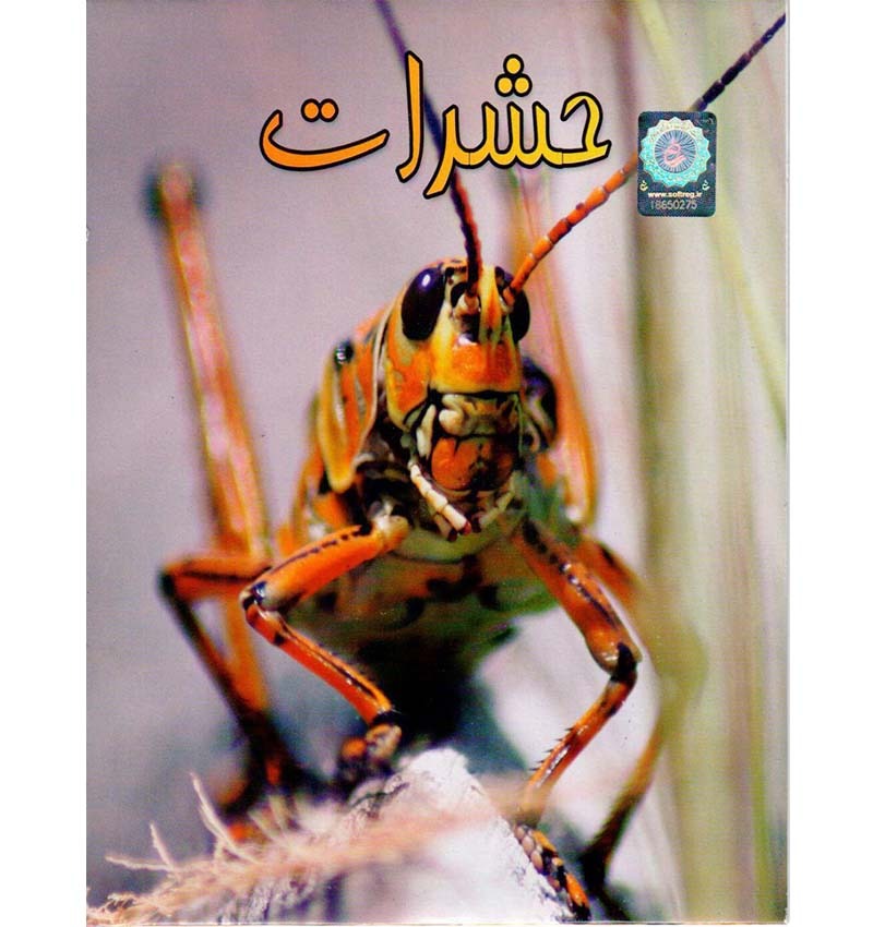 مستند حشرات