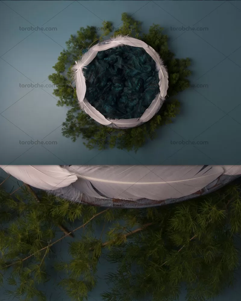 بک دراپ عکاسی نوزاد پر های سفید | گرافیک با طعم تربچه