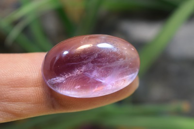 امتیست دامله(کاپوشی)