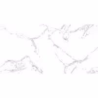 سرامیک کف ام تی 134 ایفاسرام 120 * 60
