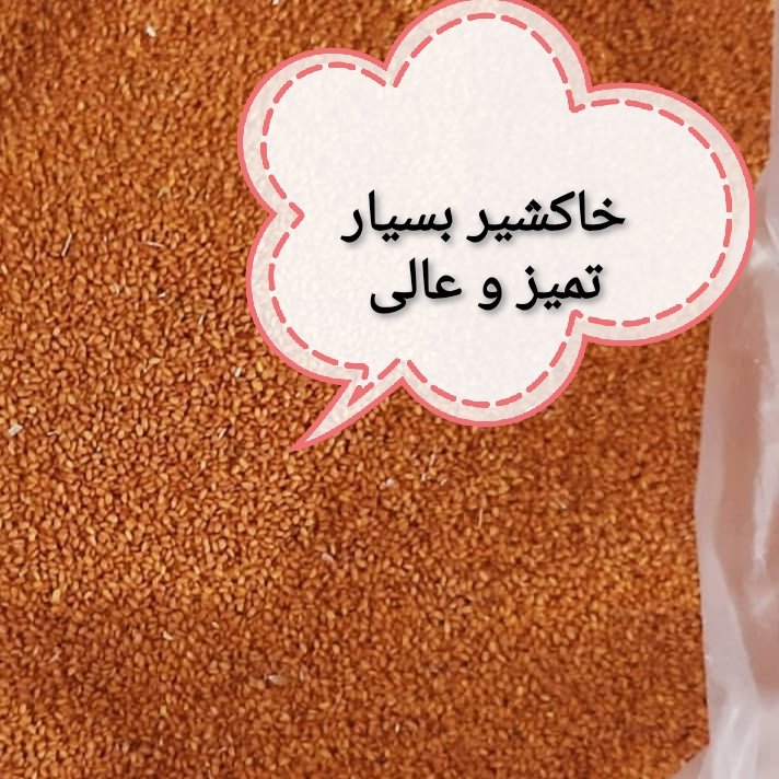 خاکشیر  حاصل دست رنج کشاورز