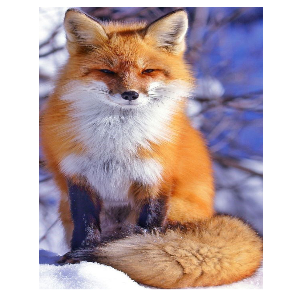 تابلو شاسی گالری استاربوی طرح روباه 