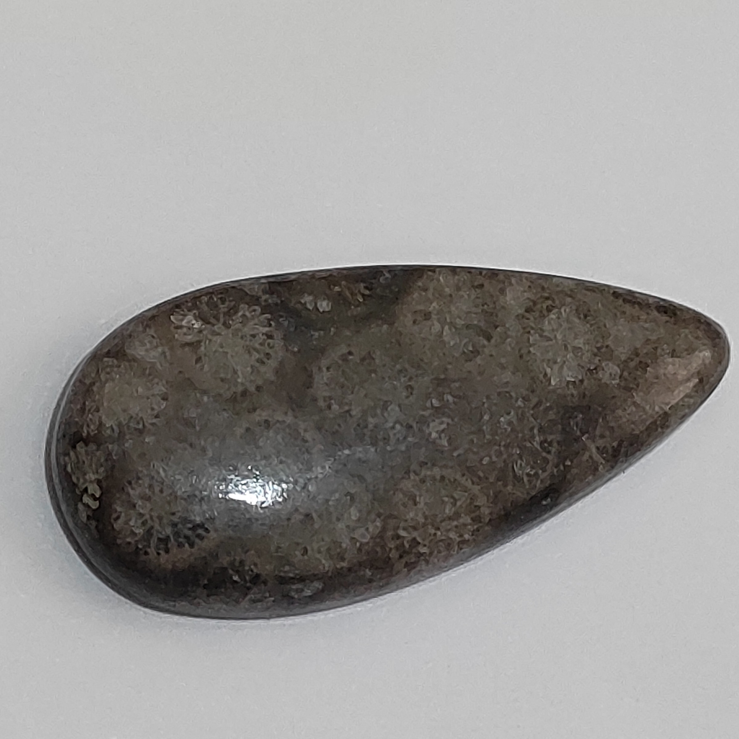 سنگ فسیل مرجان طبیعی و اصل با نقش عالی قدمت بالا  کلکسیونی کد b30