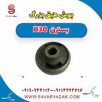 بوش طبق بزرگ بسترن B30