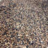 کنجد قهوه ایی درجه 1  500گرم 