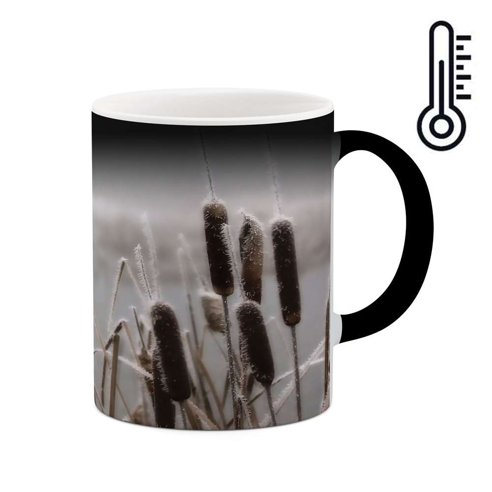 ماگ حرارتی طرح فانتزی مدل mgh02698