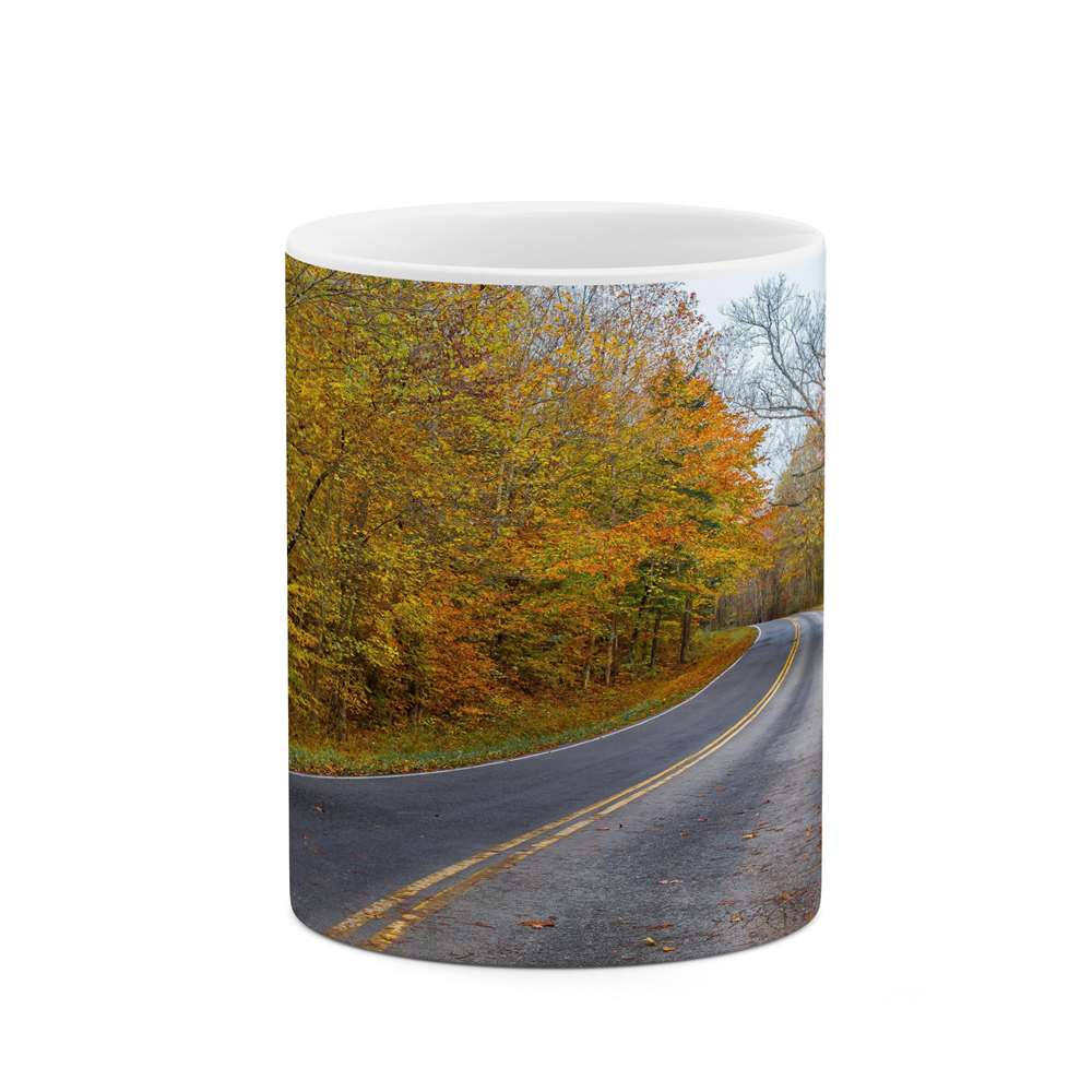 ماگ کاکتی طرح منظره مدل mgs13147