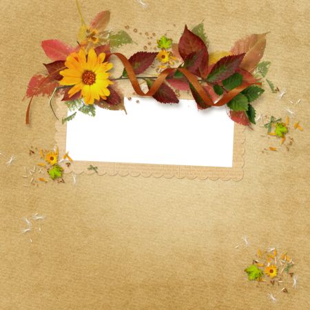 خرید و دانلود عکس Background-Part-7 کد 5877 | پیک فاکس | Pic Fox